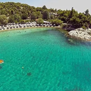 mango-hotel.hotelschalkidiki.net/